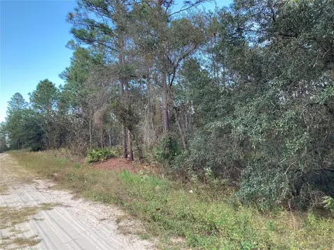SW 134th Avenue, Dunnellon, FL 34432