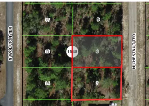 6274 N Chestnut Ter, Citrus Springs, FL 34433