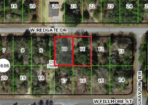 2902 W Redgate Dr, Citrus Springs, FL 34433