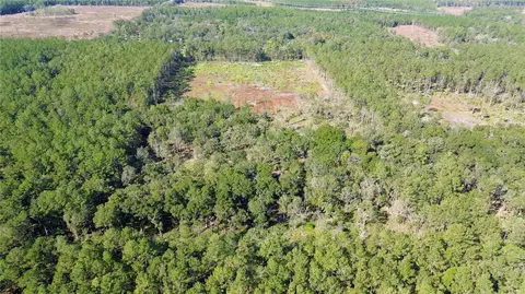 NE 92nd Ave Road, Fort Mc Coy, FL 32134
