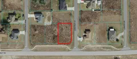 1 Chestnut Drive, Ocala, FL 34480