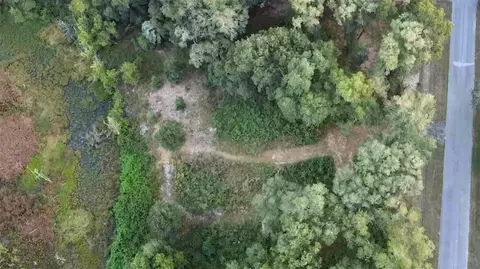 16385 SE 62nd Pl, Ocklawaha, FL 32179