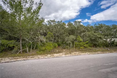 Tbd Malauka Pass, Ocklawaha, FL 32179