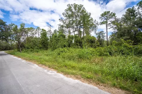 Tbd Locust Run Drive, Ocala, FL 34472