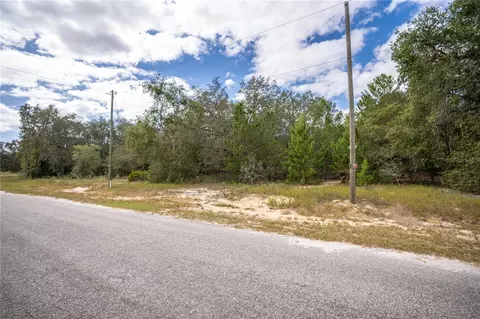 Tbd Fisher Way, Ocklawaha, FL 32179