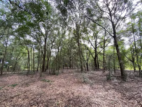 tbd SE 95 Ave, Summerfield, FL 34491