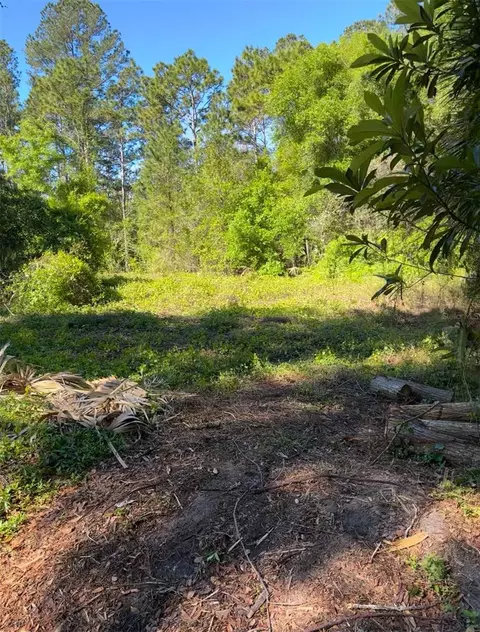 Se 162 Terr., Ocklawaha, FL 32179