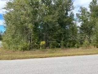 Tbd Pecan Road, Ocala, FL 34472