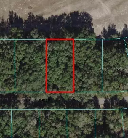 Fisher Lane Drive, Ocklawaha, FL 32179