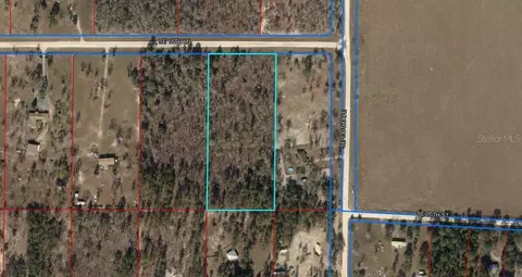 Tbd SE 16 Lane, Morriston, FL 32668