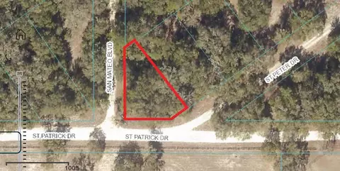 Tbd San Mateo Blvd, Dunnellon, FL 34432