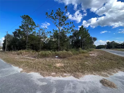 Tbd Malauka Loop, Ocklawaha, FL 32179