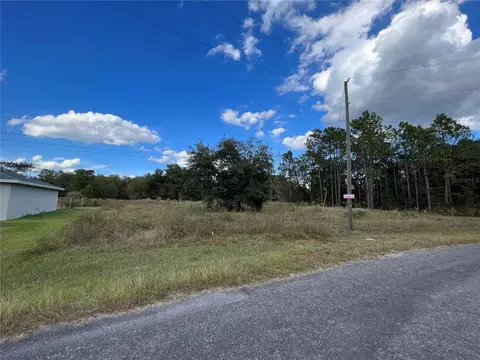 Tbd Bay Pl Court, Ocklawaha, FL 32179