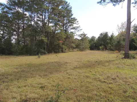 Tbd NE 40th Lane, Williston, FL 32696