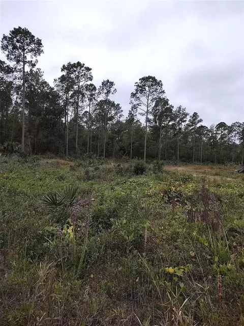 148 Th Terrace Rd, Fort Mc Coy, FL 32134