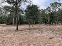 SW Viola Court, Dunnellon, FL 34431