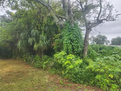 Tbd N Williams Street, Dunnellon, FL 34432