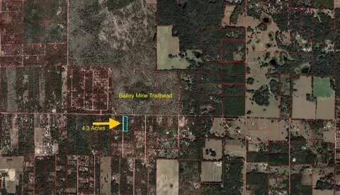 Tbd NE 75th Street, Bronson, FL 32621