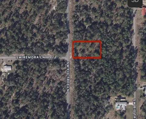 SW Fig Tree Lane, Dunnellon, FL 34431