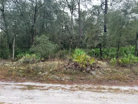 00 SW 153 Ln, Dunnellon, FL 34432