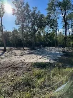 00 NE 111th Ct, Fort Mc Coy, FL 32134