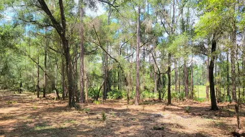 APT 1a - 10.01ac NE 150th Ave Rd, Fort Mc Coy, FL 32134