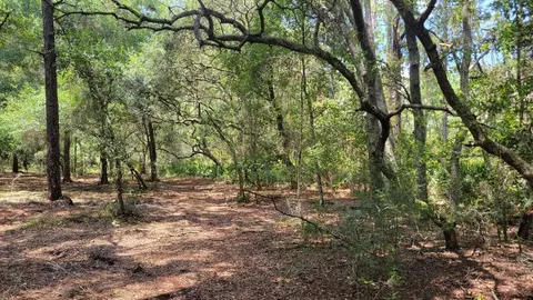APT 5 - 10.28ac NE 127th St, Fort Mc Coy, FL 32134