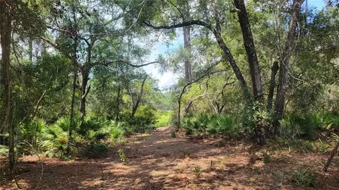 APT 6 - 10.27ac NE 127th St, Fort Mc Coy, FL 32134
