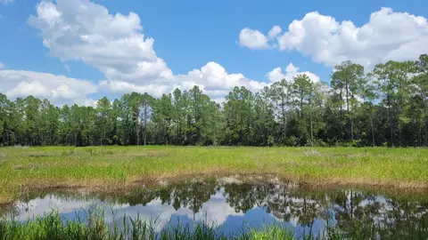 APT 7 - 15.22ac NE 127th St, Fort Mc Coy, FL 32134