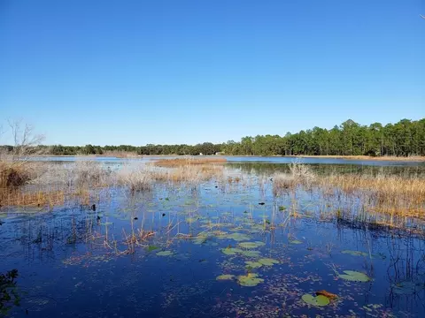 Hokkolen #5 NE Hwy 315, Fort Mc Coy, FL 32134