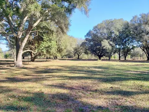 Hokkolen #6 NE Hwy 315, Fort Mc Coy, FL 32134