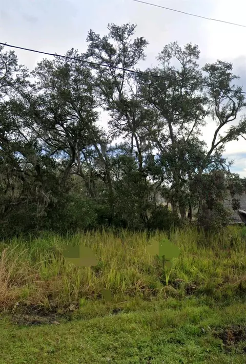 1617 Pickerel Ct, Poinciana, FL 34759