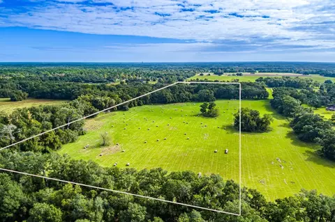 4450 NE 155 Ave, Williston, FL 32696