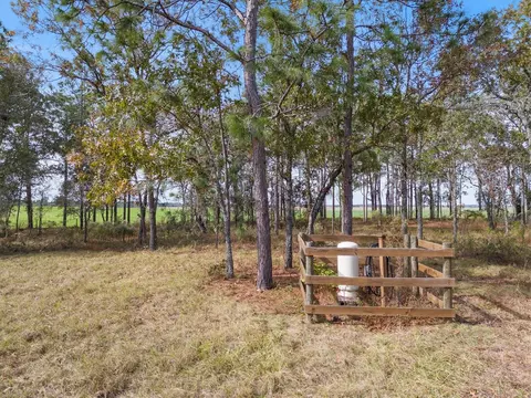 1950 SE 140th Ter, Morriston, FL 32668