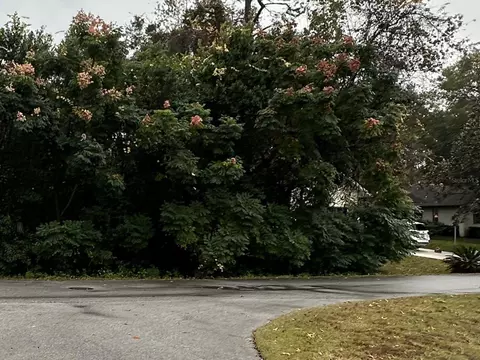 0 SW 198th Cir, Dunnellon, FL 34432