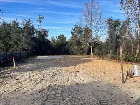 21445 NE 133rd St, Salt Springs, FL 32134