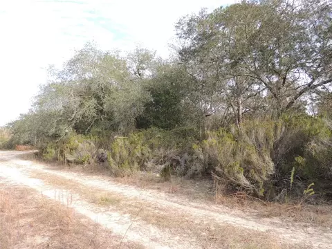 6691 NE 112th Ave, Williston, FL 32696