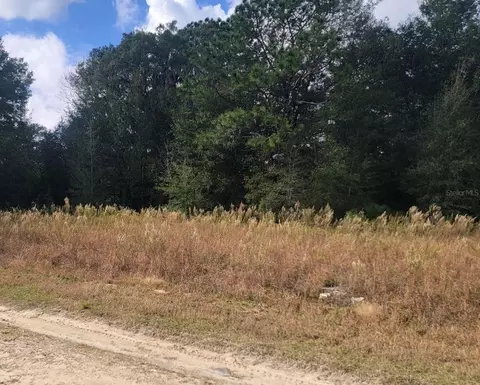 Tbd SW 149th Terrace, Ocala, FL 34481