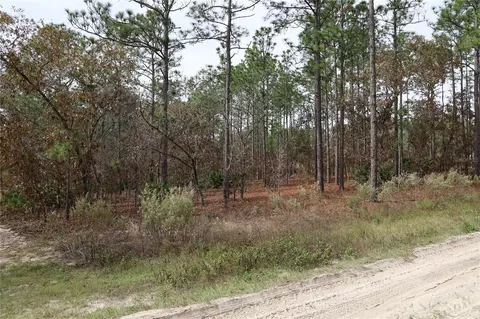 0 SW 127th Avenue Rd, Dunnellon, FL 34432