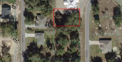 00 Malauka Run, Ocklawaha, FL 32179