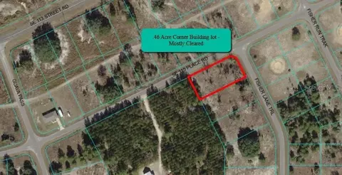 Fisher Lane Trail, Ocklawaha, FL 32179