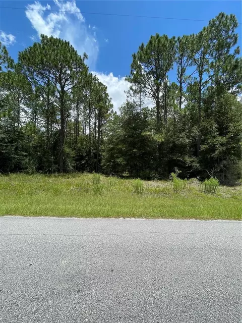 tbd SW 197th Ter, Dunnellon, FL 34431