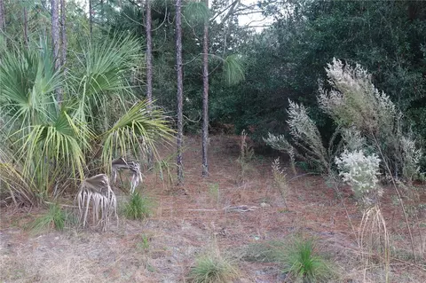8633 N San Filippo Loop, Crystal River, FL 34428