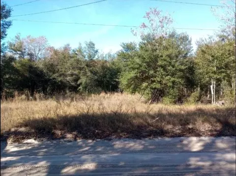 Lot 31 NW 56th Avenue, Ocala, FL 34482
