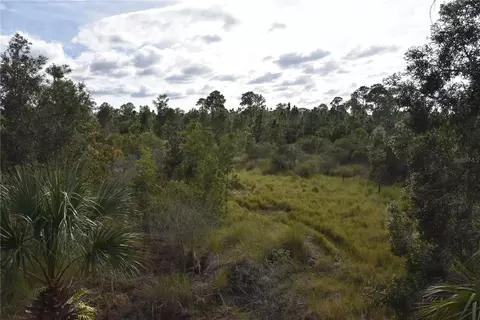 Freedom Road, Mims, FL 32754