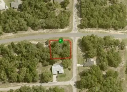 1364 W G Martinelli Blvd, Citrus Springs, FL 34434