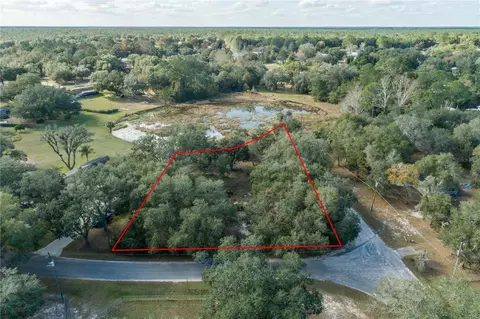 0 SE 162nd Ter, Ocklawaha, FL 32179