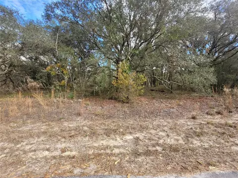 lot34 SW Tamiami Pl, Dunnellon, FL 34431