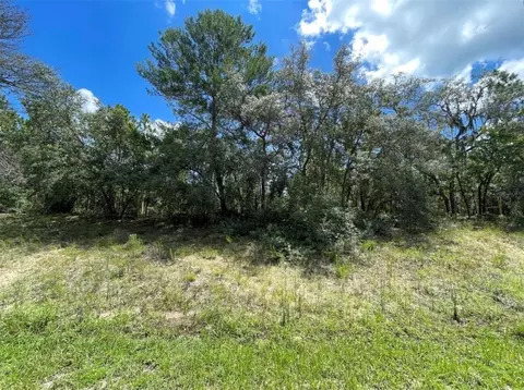 369 S Highview Ave, Lecanto, FL 34461