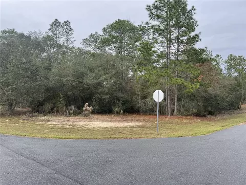 11290 N Kenney Loop, Citrus Springs, FL 34433